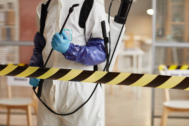 Professional Sewage Cleanup technician working in Coleridge, NE