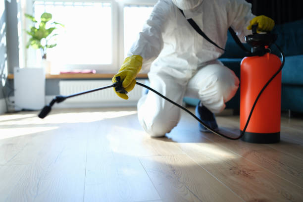 Reliable Sewage Cleanup contractor in Coleridge, NE by Dulley Family Biohazard Services